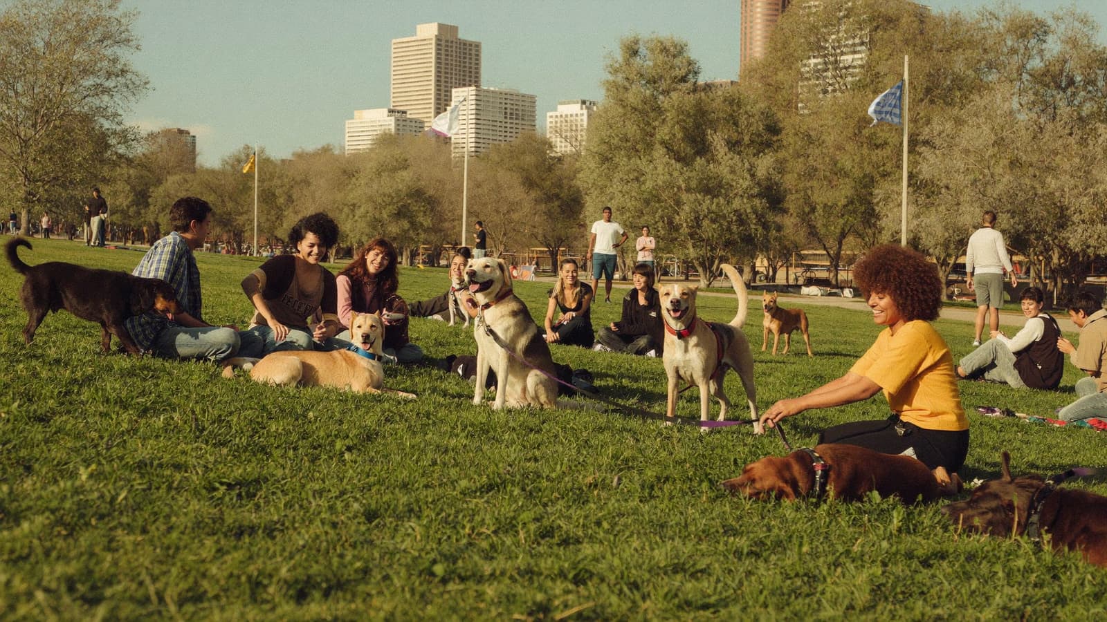 Personas con sus perros reunidas en el pasto de un parque